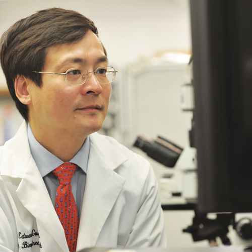 X. Edward Guo | Predicting Bone Strength, Preventing Osteoporosis - guo