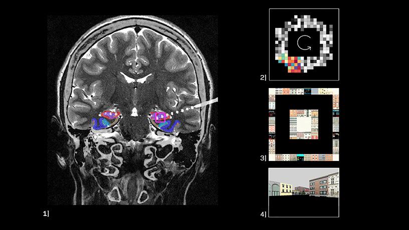UCLA study identifies how the brain links memories