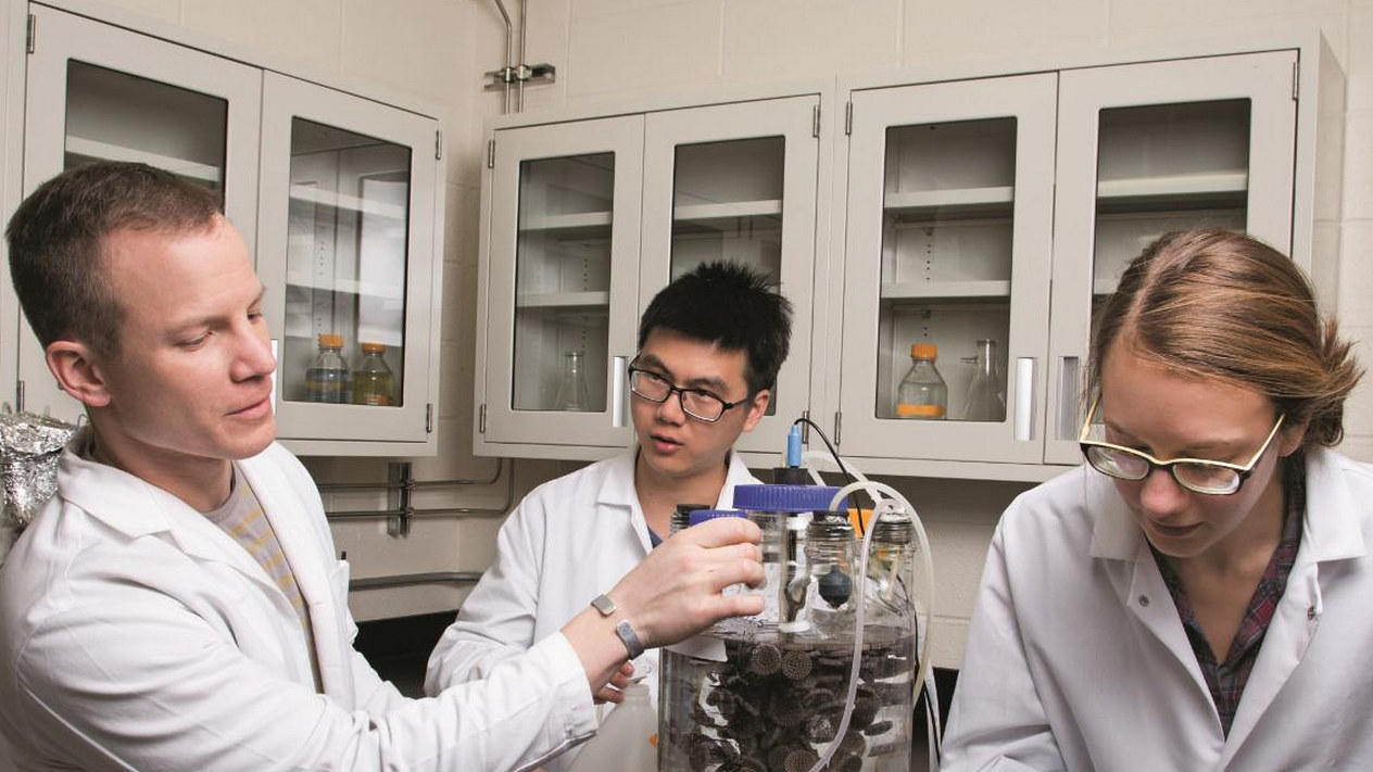 Engineering students working in a lab