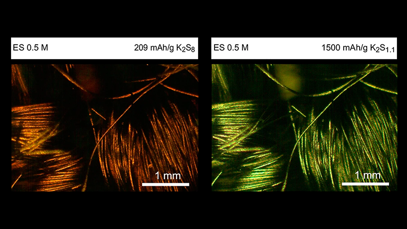 Optical microscope imaging of catholyte at room temperature