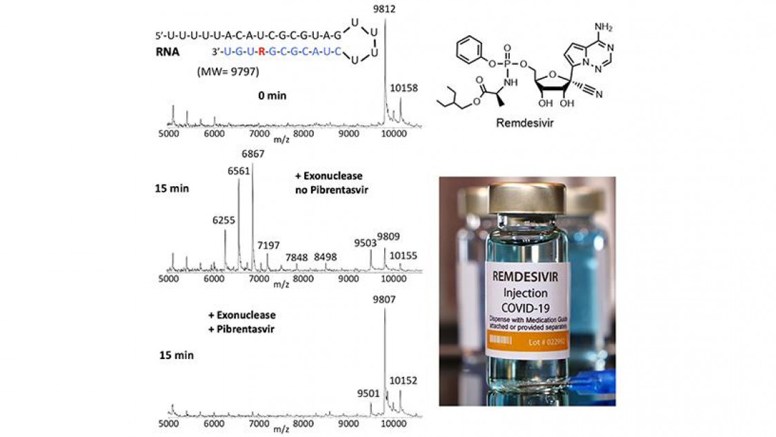 RNA containing Remdesivir